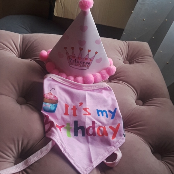 Dog birthday bandana set - Picture 5 of 6